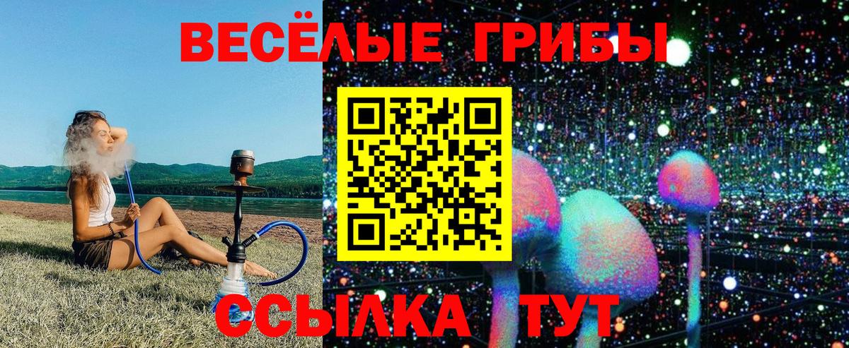 Галлюциногенные грибы Psilocybine cubensis Орёл
