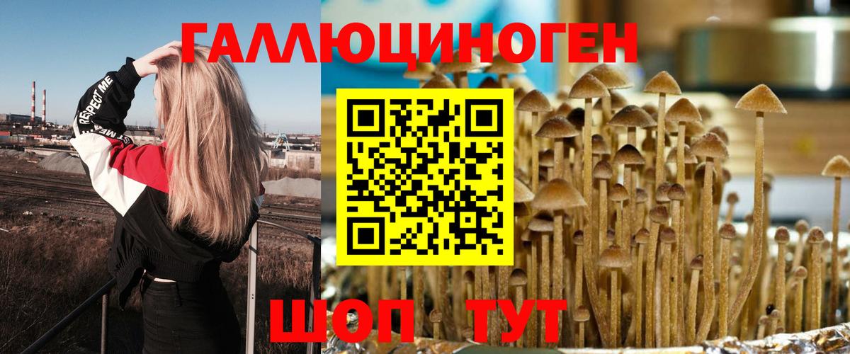 Галлюциногенные грибы мицелий  Вход с VPN  Орёл 